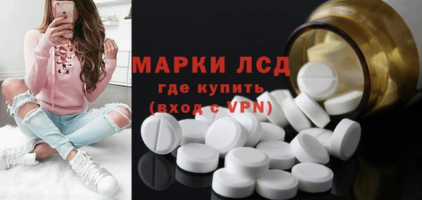 прущие грибы Абинск