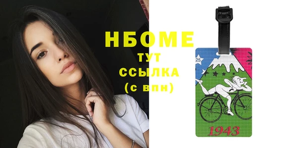прущие грибы Абинск